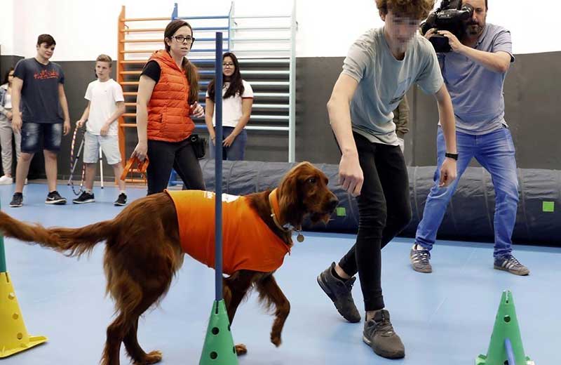 Terapia de animales